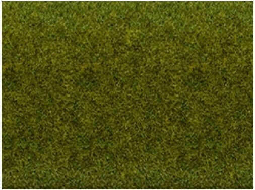 Noch Plant Mockup