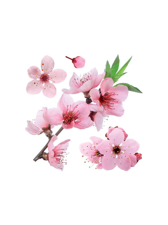 Ango Kinder Wandsticker Wand Cherry Blossom 58x72cm