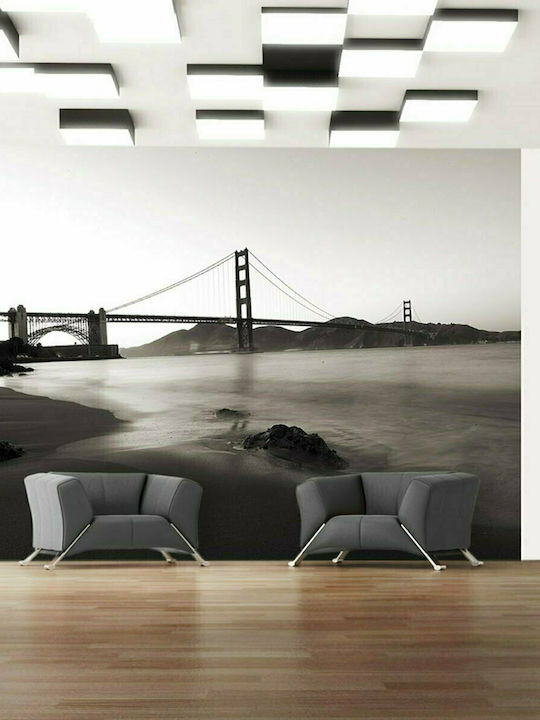 Fototapet de Perete 200x154cm San Francisco: Golden Gate Bridge In Black White Tesatura Gri