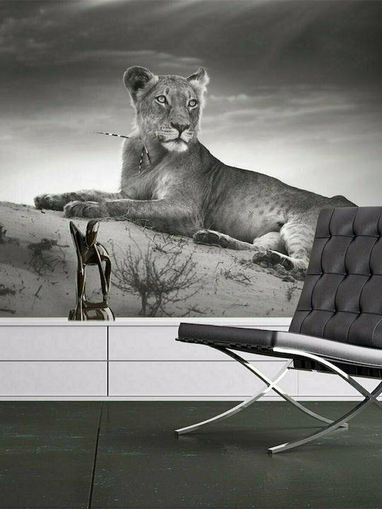 Fototapet de Perete 400x309cm Black White Lioness Tesatura Gri