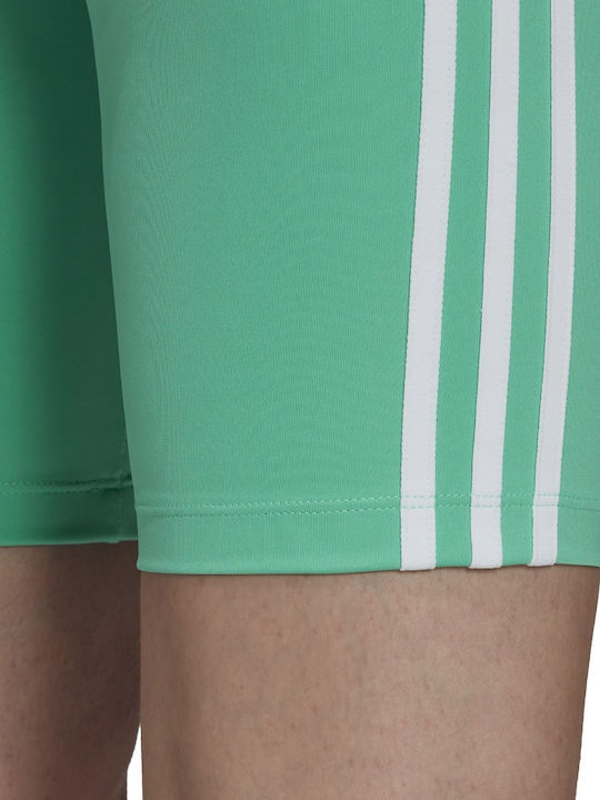 Women's Bike Training Legging High Waisted Green