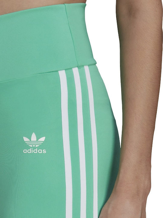 Women's Bike Training Legging High Waisted Green