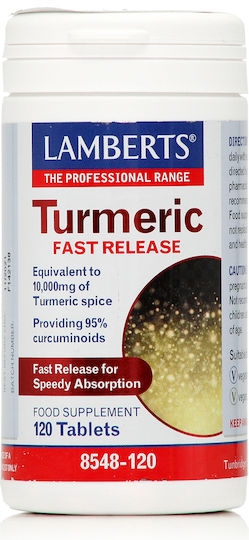 Lamberts Turmeric Fast Release 10000mg 120 tabs