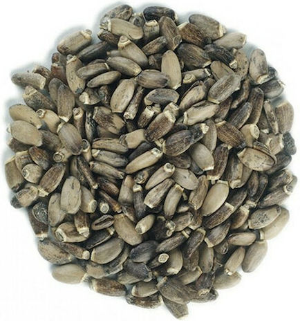 MPACHARADIKO Thistle Seeds 100gr 06247-100gr