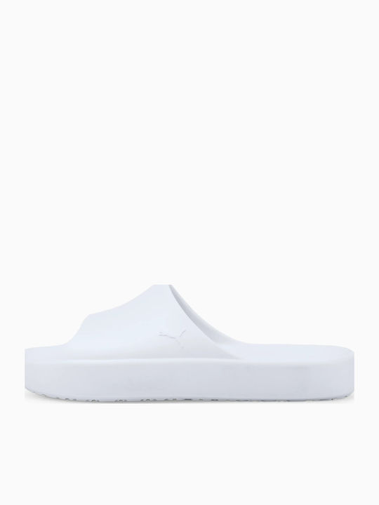 Shibui Cat Men's Slides White