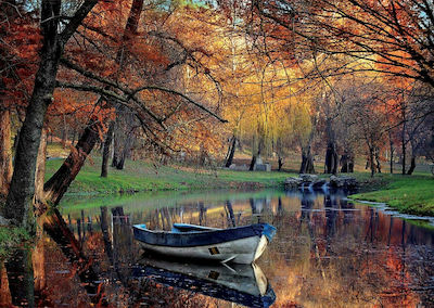 Boat on the Lake Puzzle 2D 2000 Pieces