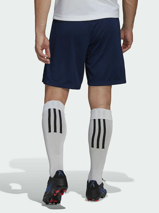 adidas adidas