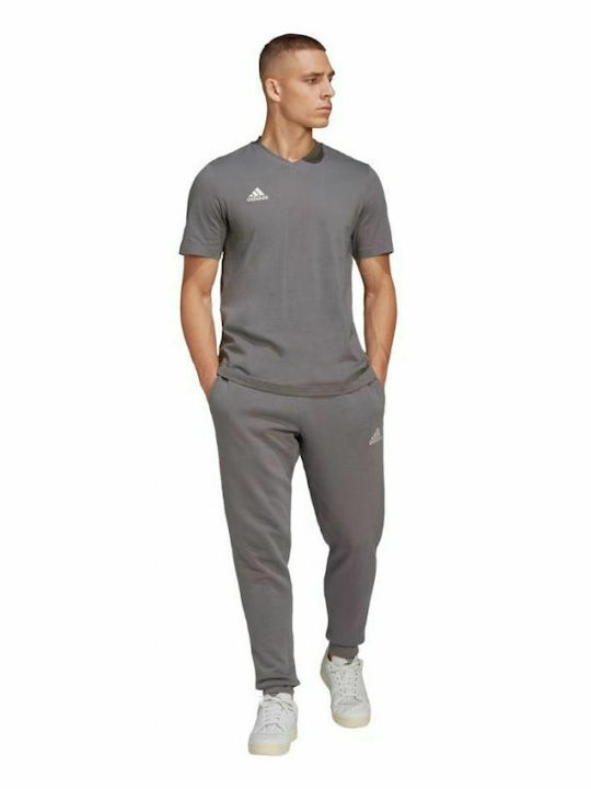 Entrada 22 Aeroready Herrenblusen Kurzarm T-Shirt Grau