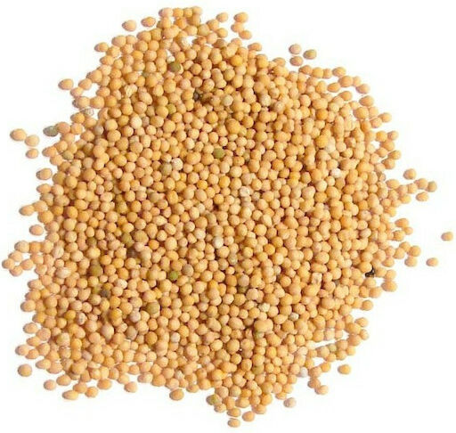 ΜΠΑΧΑΡΑΔΙΚΟ Σιναπόσπορος 500gr