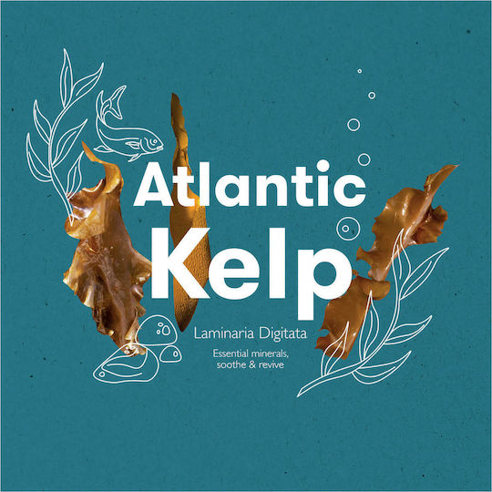 Ren Atlantic Kelp & Microalgae Anti-Fatigue Oil & Eucalyptus Scent 110ml