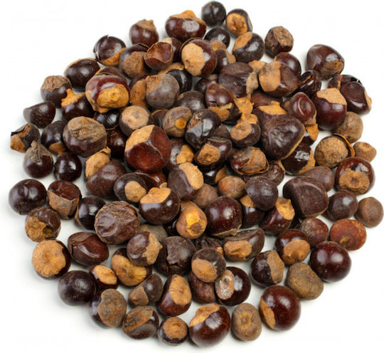 MPACHARADIKO Guarana 100gr