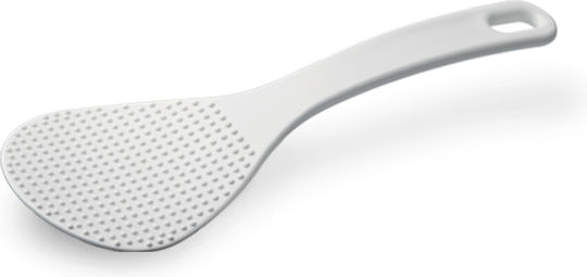 Tefal Fast & Delicious Aragaz multifuncțional 1100W cu Capacitate 6lt Argint