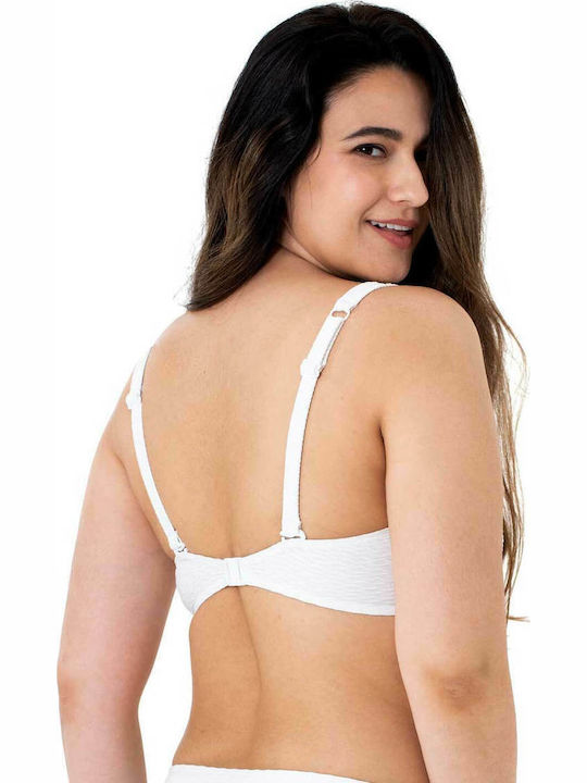 Dorina Dorina