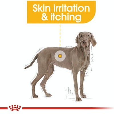 Royal Canin Dermacomfort Maxi 12kg Dry Food for Adult Dogs of Large Breeds with Corn and Rice