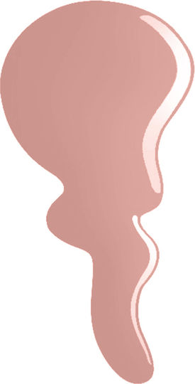 Erre Due Pro Gel Glossy Βερνίκι Νυχιών Μακράς Διαρκείας 567 Bitten Apple 12ml