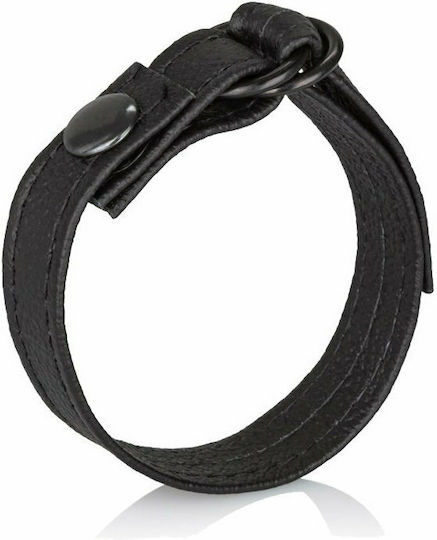 Calexotics Leather Cinch Adjustable Cockring with Snap Release Cock Ring Schwanz Leder Schwarz