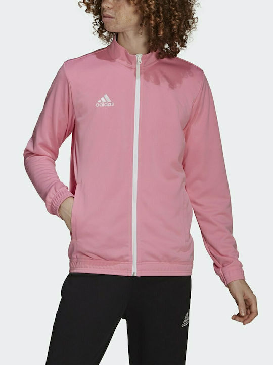 Men's Cardigan with Hood Pink