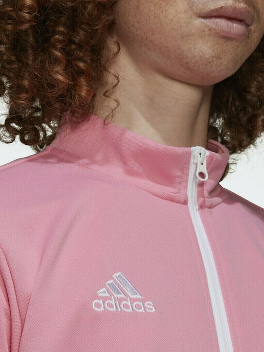 Men's Cardigan with Hood Pink