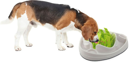 All For Paws Plastic Bowl Food Slow Feeder for Dog & Cat in Green Color