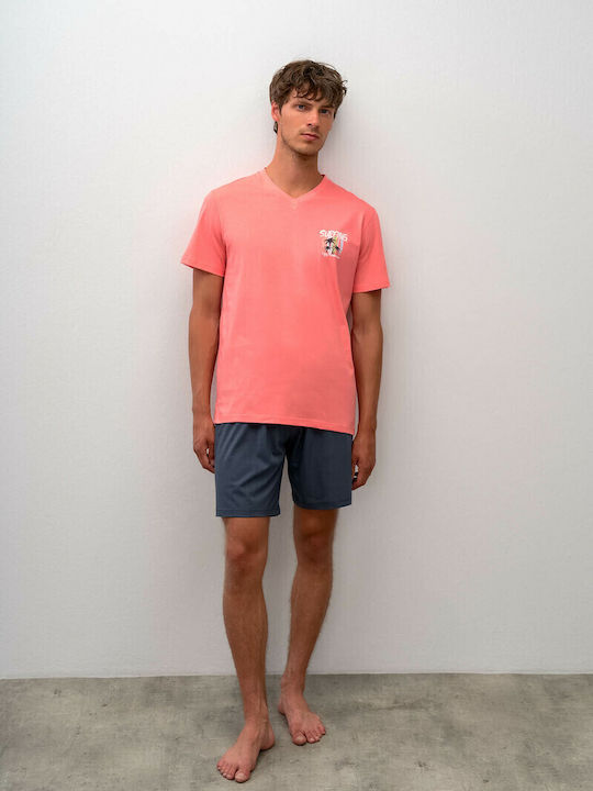 Vamp Coral Sugar