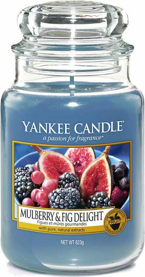 Yankee Candle Αρωματικό Κερί Mulberry & Fig Delight Μπλε 623gr 1556245 Yankee Candle Αρωματικό Κερί Mulberry & Fig Delight Μπλε 623gr 1556245