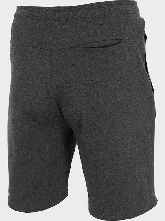 Sports Men's Shorts Gray