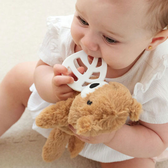 Kiokids Мече Жувално Орална Хигиена от Текстил за 0 м+