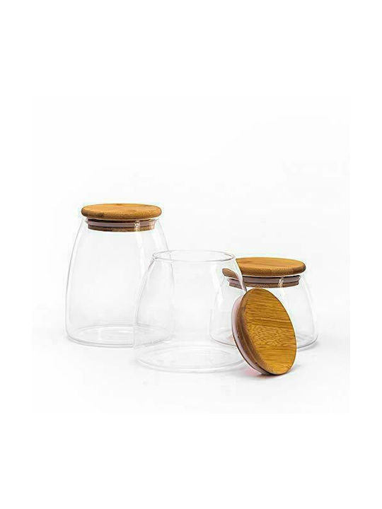 Viosarp Vase General Use with Airtight Lid Glass Transparent 450ml