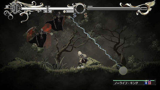 Record of Lodoss War: Deedlit in Wonder Labyrinth Switch Game