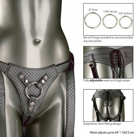Calexotics Her Royal Harness The Regal Queen Gurtzeug in Schwarz Farbe