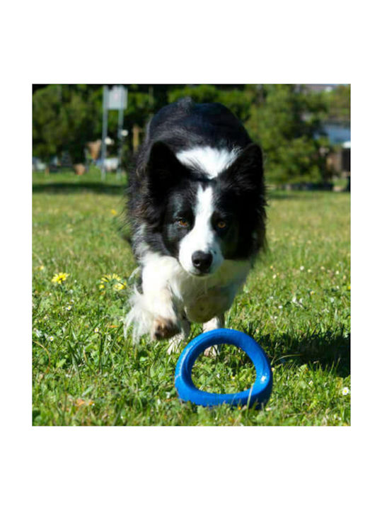 Rogz Pop Upz Dog Training Toy Medium Blue 14.5cm