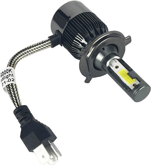 Carner Λάμπες Αυτοκινήτου H4 C12 5500lm LED 6000K Ψυχρό Λευκό 12-24V 36W 2τμχ
