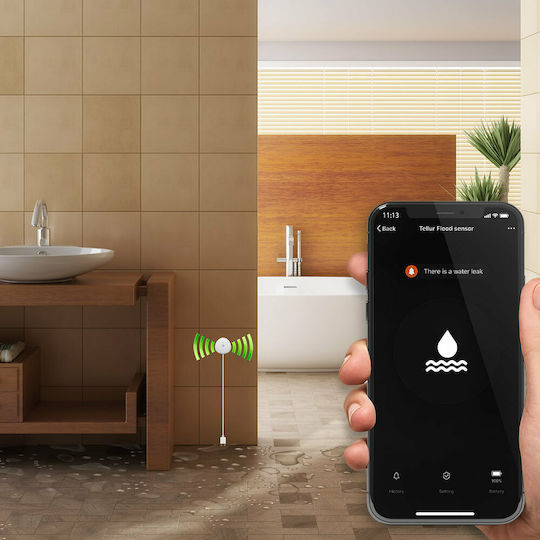 Tellur Wireless Flood Detector Battery Wi-Fi with Cable 1m