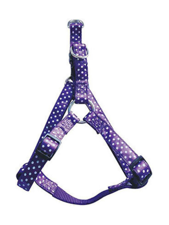 Pet Interest Motivo Dots Medium 20mm x 40-60cm