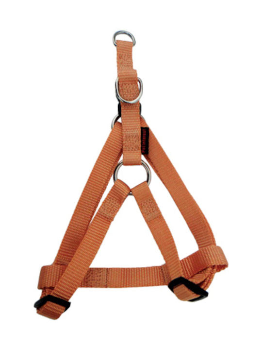 Pet Interest Type A Small 15mm x 35-55cm Pet Interest Type A Small 15mm x 35-55cm