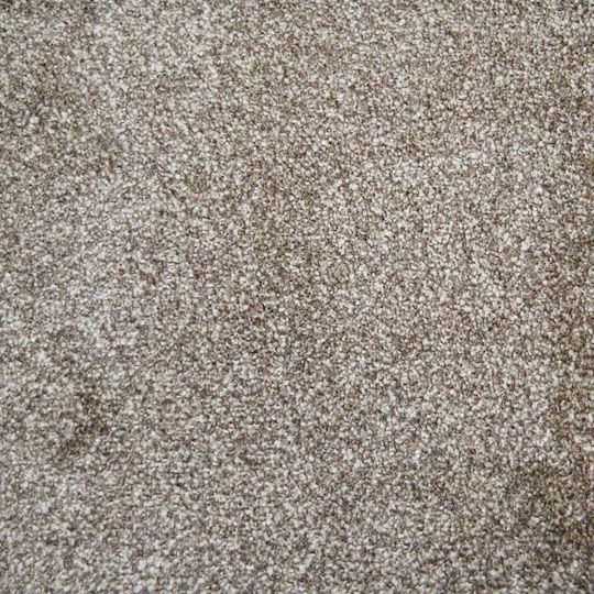 Ns Carpets Prestige Velvet Dark Beige (Price Per Meter)