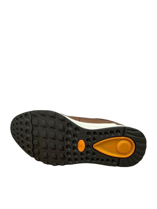 Anatomical Sneakers Tabac Brown