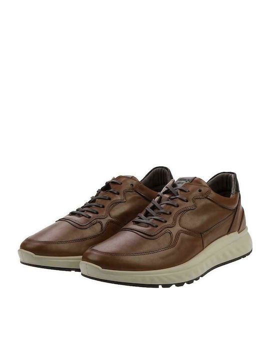 Anatomical Sneakers Tabac Brown