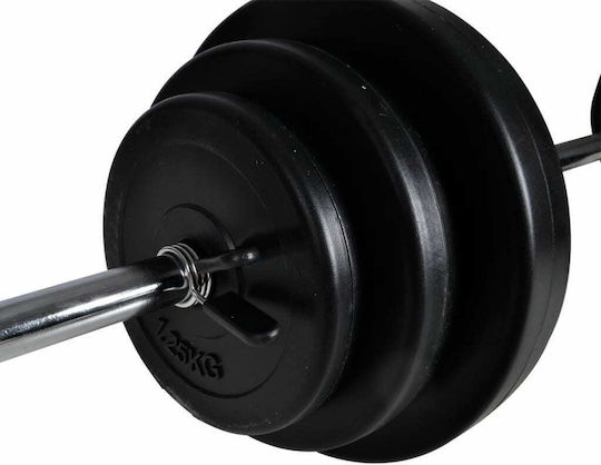 vidaXL Αλτήρες Σετ με Μπάρα Συνολικού Βάρους 30.5kg