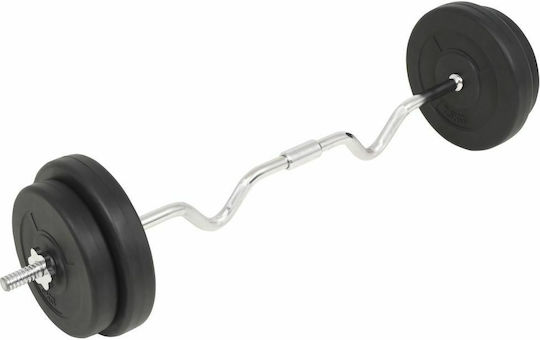 vidaXL ​Στραβόμπαρα Φ25mm Σετ με Βάρη 30kg Μήκους 120cm χωρίς Κολάρα
