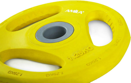 AMILA Pump Rubber Set of Plates Rubber 1 x 1.25kg Ø28mm with Handles