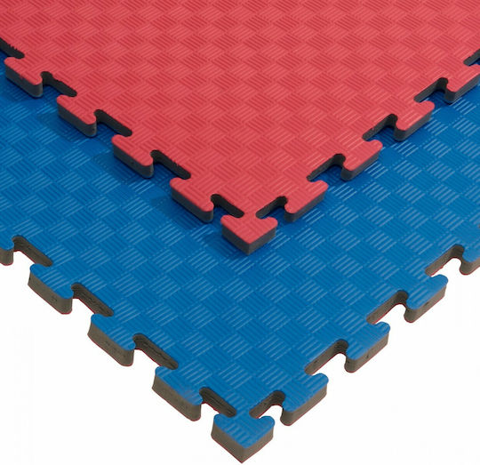 Olympus Sport Economy Boden Puzzle Fitnessstudio Doppelseitig 100x100x2cm 1Stück