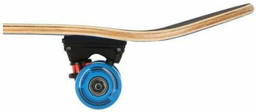 Nils CR3108SA Error Complete Shortboard Πολύχρωμο