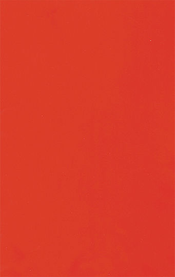 Silver Küchenzeilen KΣ125-Rot Poly-Küchenzeile mit Links Spülbecken 125x65x209cm Rote