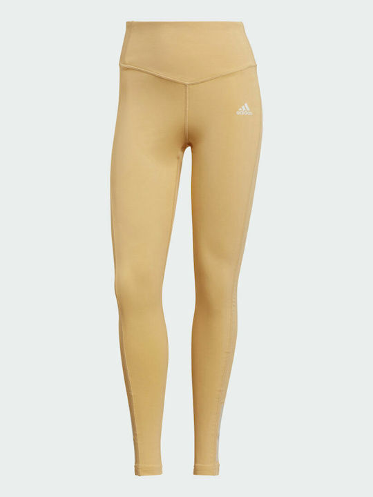 Hyperglam Schulung Frauen Lang Leggings Hochgeschnitten Pulse Amber