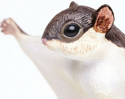 Safari Ltd Miniature Toy Flying Squirrel 12.5cm.