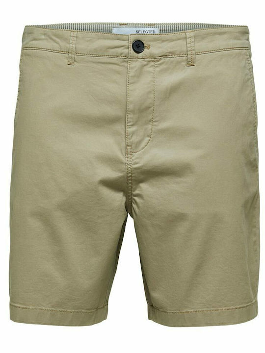Men's Shorts Chino Chinchilla