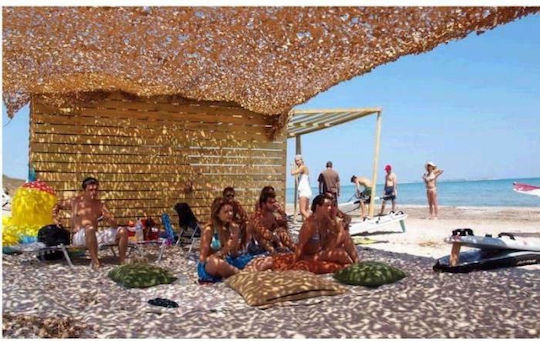 Ecoshadow Ορθογώνιο Δίχτυ Παραλλαγής Καφέ με Επίστρωση PU 2x6m 160gr/m²