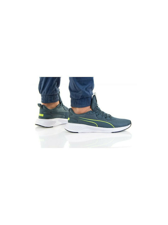 Incinerate Sport Shoes Training Gray