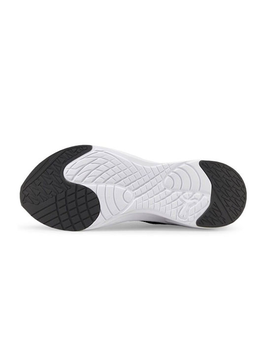 Incinerate Sport Shoes Training Gray